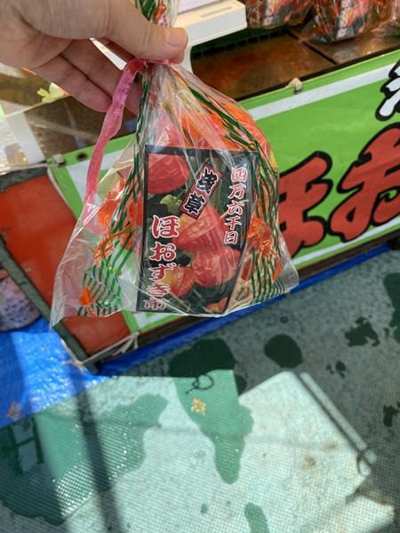 浅草のほおずき市の写真