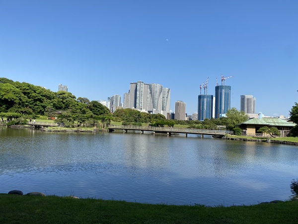浜離宮恩賜庭園から見た風景の写真
